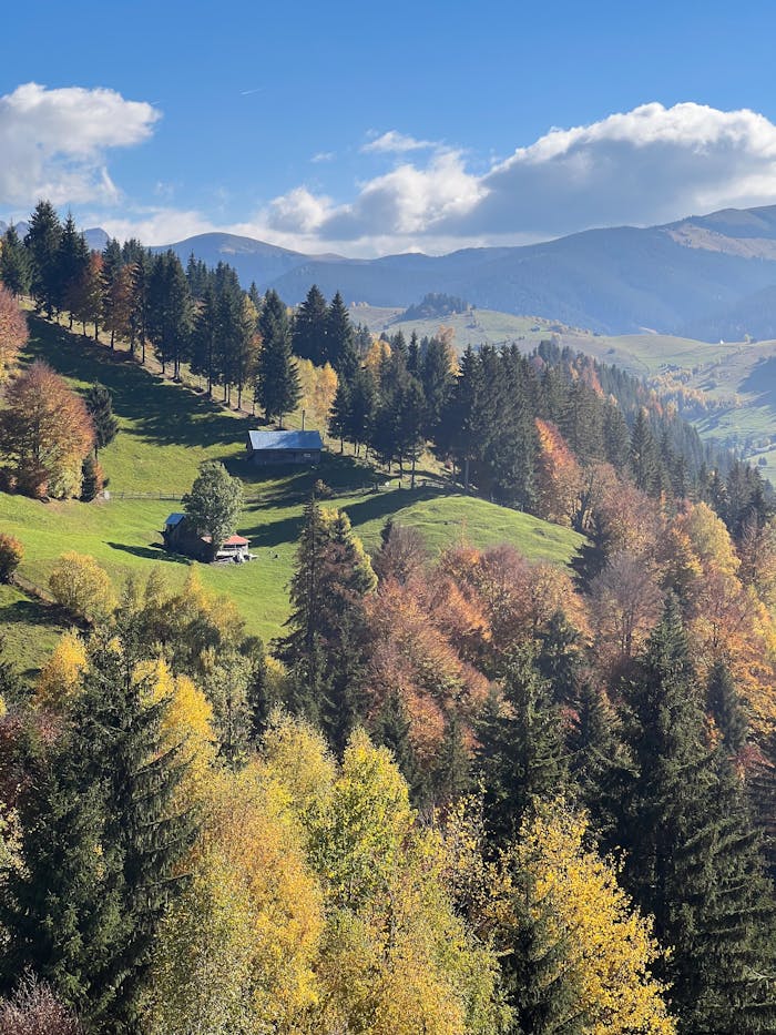 Scenic view of rolling hills and colorful autumn trees in the Romanian countryside.